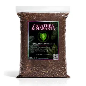 Calathea & Maranta Mix — Moisture-Balanced Soilless Potting Mix