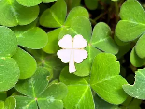 4 Leaf White Clover DnD Enamel Pin
