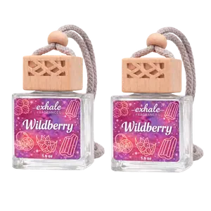 2-Pack Scented Car Fresheners - Long Last Scents, 1.6oz Each
