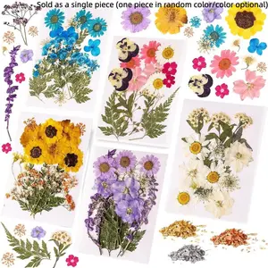 New Fake Dried Flower Embossing Material Kit, Kids Handmade DIY Plant Specimen, Frame Decoration, Valentine's Day Gift