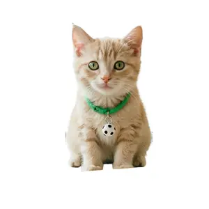 Adjustable Pet Collar with Football Pendant, Cute Football Design Pet Collar, Equipped with A Safety Buckle, Suitable As A Pet Accessory For Small Dogs & Cats toys outdoorfun