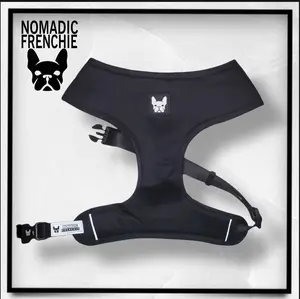 Nomadic Frenchie Harness - Please measure the neck before ordering size chart is in product photos
