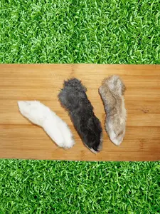 Furever Fierce Rabbit Feet Dog Chews
