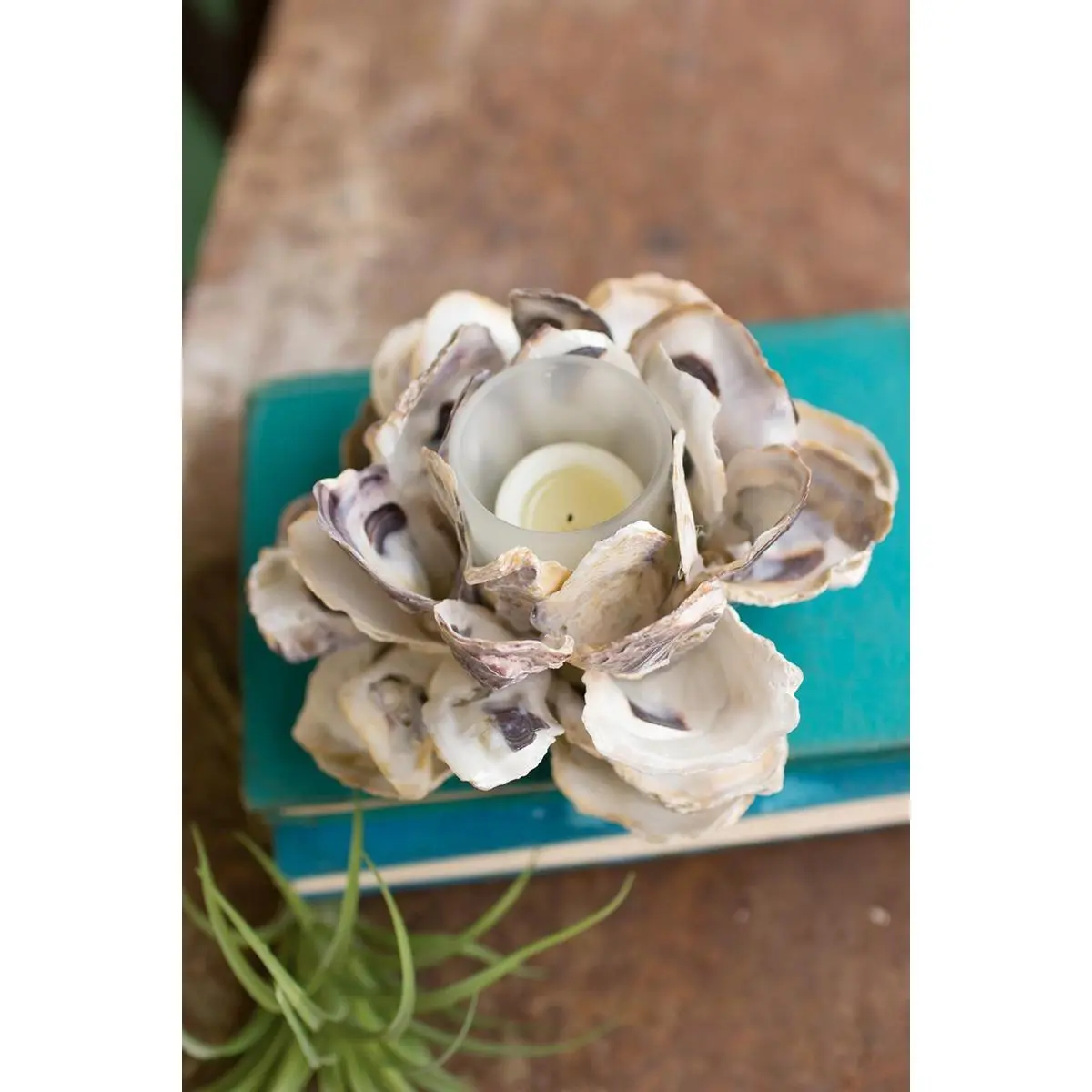 Oyster Shell Flower Votive Holder (Pack Of 4)