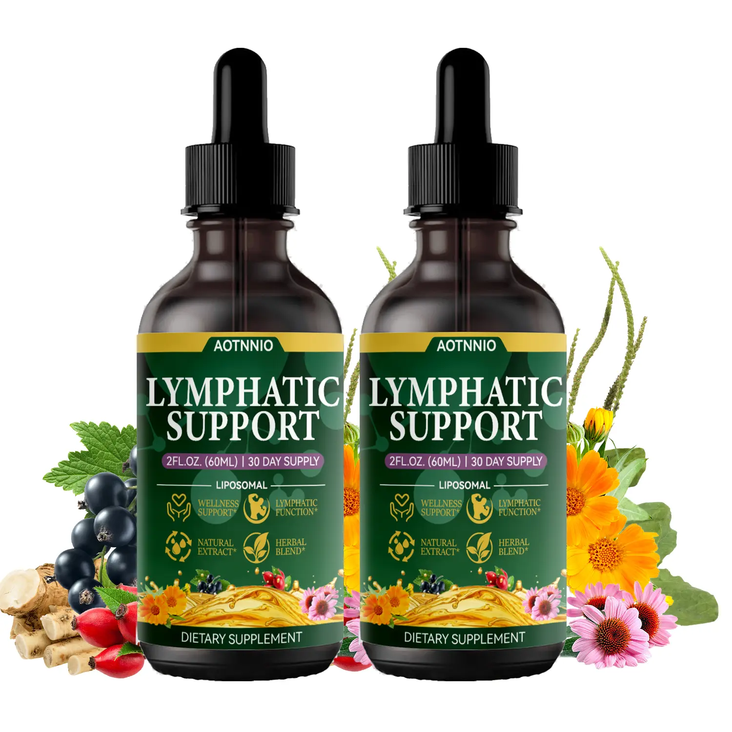 Liposomal Lymphatic Support Supplements Liquid Drops, Lungs Detox & Lymph System Support with Echinacea, Promote Healthy Lymph Drainage &Overall Wellness, Chlorophyll, Dandelion, Burdock, Mullein for Immune Support, Cleanse & Detox, 2 FL OZ