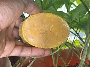 Kash Organic Turmeric and Neem Soap – 3-in-1 Natural Formula for Skin Brightening, Dark Spots, and Acne