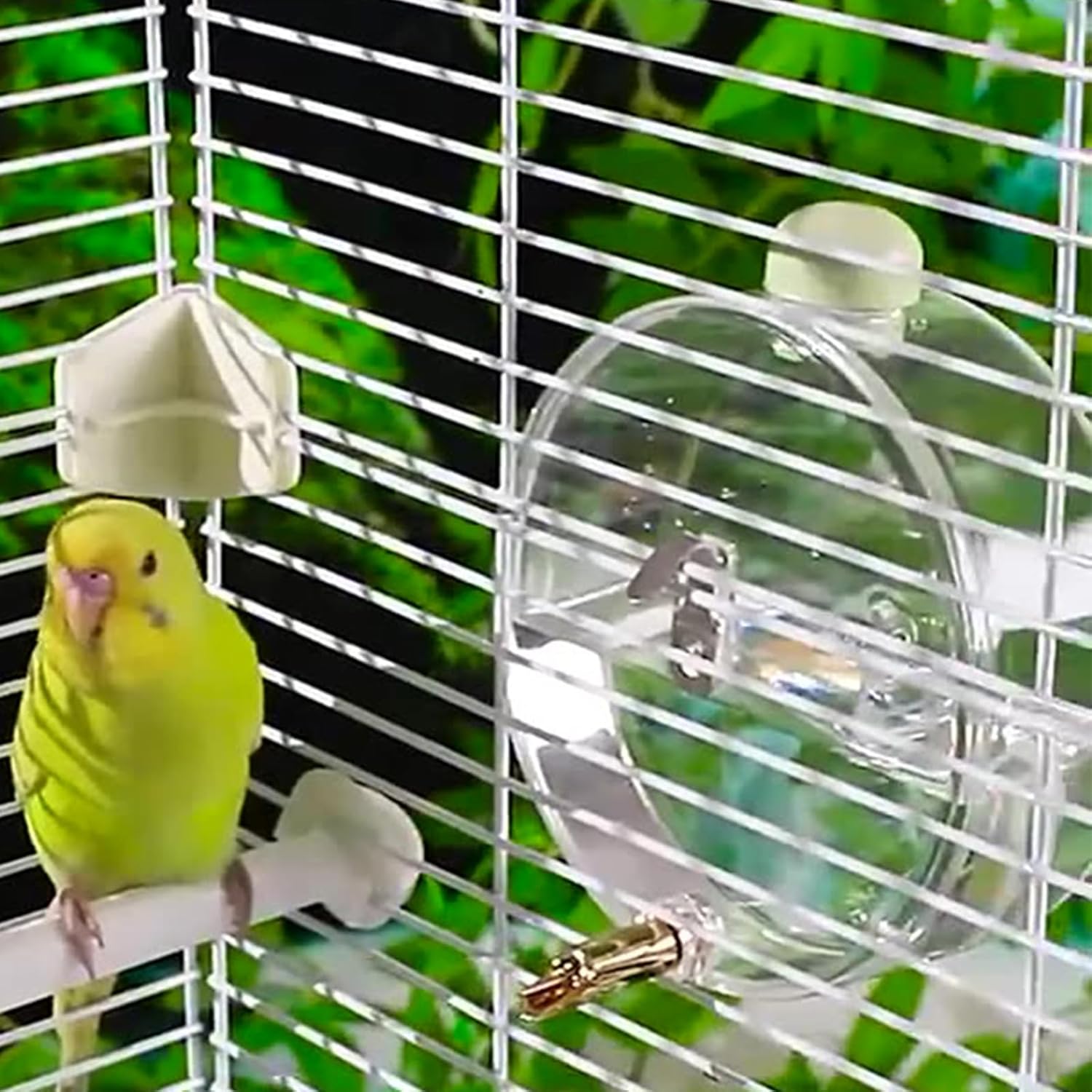 350ml Touch-Activated Automatic Bird Water Feeder (Color Random) - Anti-Corrosion Hanging Cage Attachment, Leak-Proof Low-Waste Bird Feeding Tool for Small-Medium Parakeets, Pet Supplies Feeding Tools, Bird Supplies