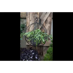 Hanging Wire Basket Plant Hanger - 18" - wrought iron - amish made