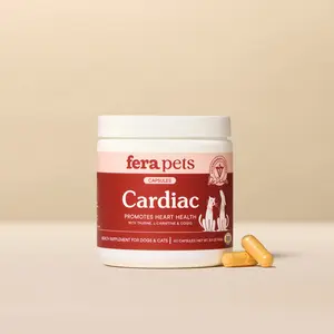 Cardiac Support for Dogs and Cats