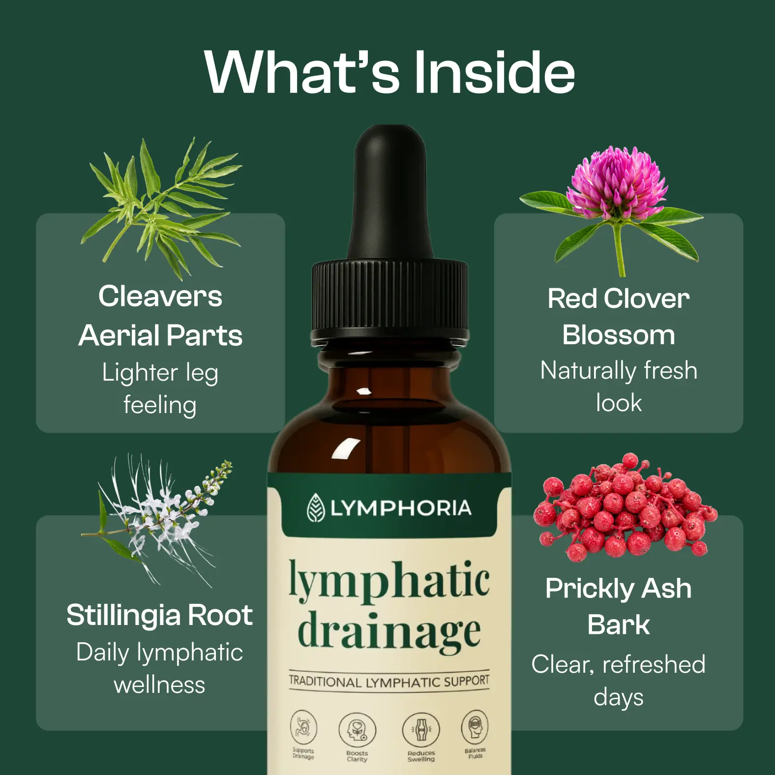 Lymphatic Drainage Drops, Healthcare Herbal Supplement – Daily Ritual for Face, Body, and Energy Support Supplement Edible Fitness Dietary