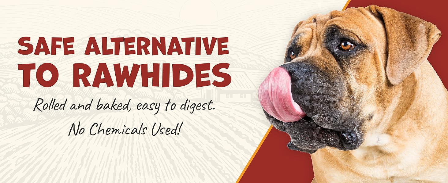 Pack Approved Beef Rolls Dog Treats - Made from 100% Beef Hide - Natural Ingredients - Supports Dental Health