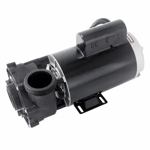 Pump, LX 48WUA Small Frame 1.0HP 115V 10.3 & 3.8A 2-Speed 2 in. MBT SD