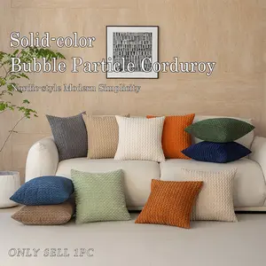 Nordic Style Plush Velvet Pillow Cover, Soft and Fluffy Decorative Cushion Case, Available in 9 Colors, Perfect for Sofa, Bed, Car Interior, Home Textile
