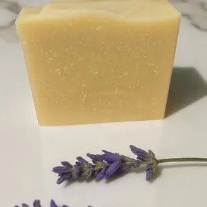 Lavender Pure Goat Milk Soap Bar  Natural Lavender Essential Oil, No Fragrance, No Dyes, Gentle for Sensitive Skin, Handmade Cold Process Soap, Moisturizing & Calming, Non-Toxic, Real Organic Ingredients  Body Care Shea