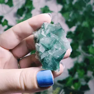 Lady Annabella Mine Mixed Fluorite Specimens