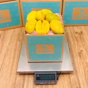 Mingolo Mango Box