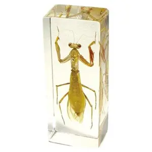 ED SPELDY EAST  Paperweight Large Praying Mantis