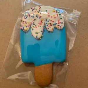 Dog Cookie - ice Cream Design