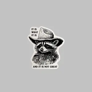 Raccoon Meme Vinyl Sticker, Funny Meme Sticker, Decal Sticker Decal
