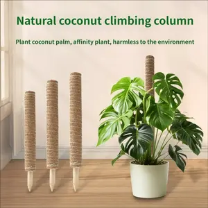 2 Piece Set Climbing Plant Moss Stick Coconut Fiber Rods, Vine Support Pole for Rattan Turtle Bamboo Palm Column Garden Stands, Climbing Plants Outdoor Garden Plant Supplies