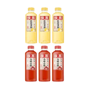 Chi Forest Reduced Sugar Plum Hawthorn & Pear Snow Pear Drinks - 6-Bottle Variety Pack (3x500ml Each) - Refreshing, Appetizer, Plant-Based Beverage