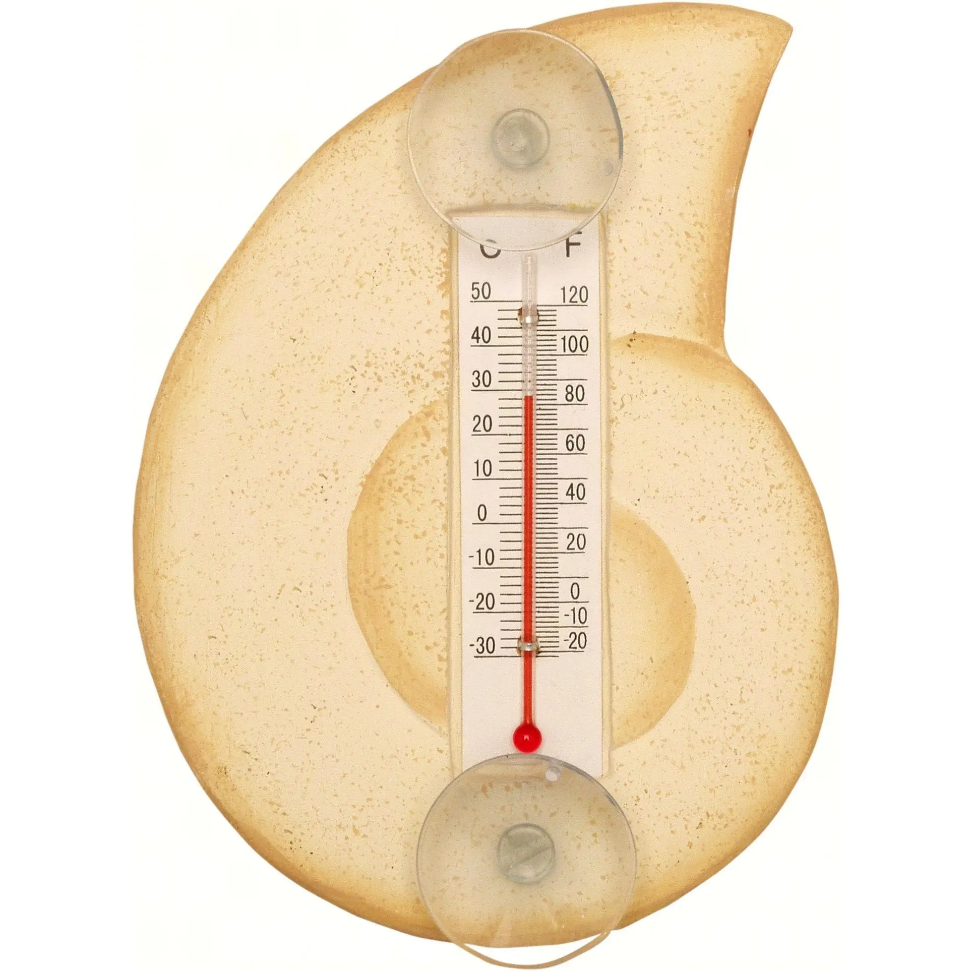 Bobbo from Songbird Essentials Cream Nautilus Shell Small Window Thermometer
