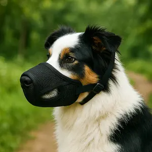 Pet Dog Mouth Guard, Breathable Anti-Bite Dog Harness, Essential Outdoor Walking Gear, Prevents Accidental Ingestion, Pet Supplies