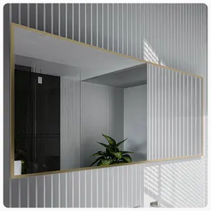 Eviva Aureline 72" x 30" Rectangular Gold Stainless Steel Framed Mirror