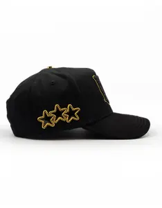 AMR GOLD