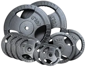 French Fitness Standard Cast Iron 1" Weight Plate Set 190 lbs (New)