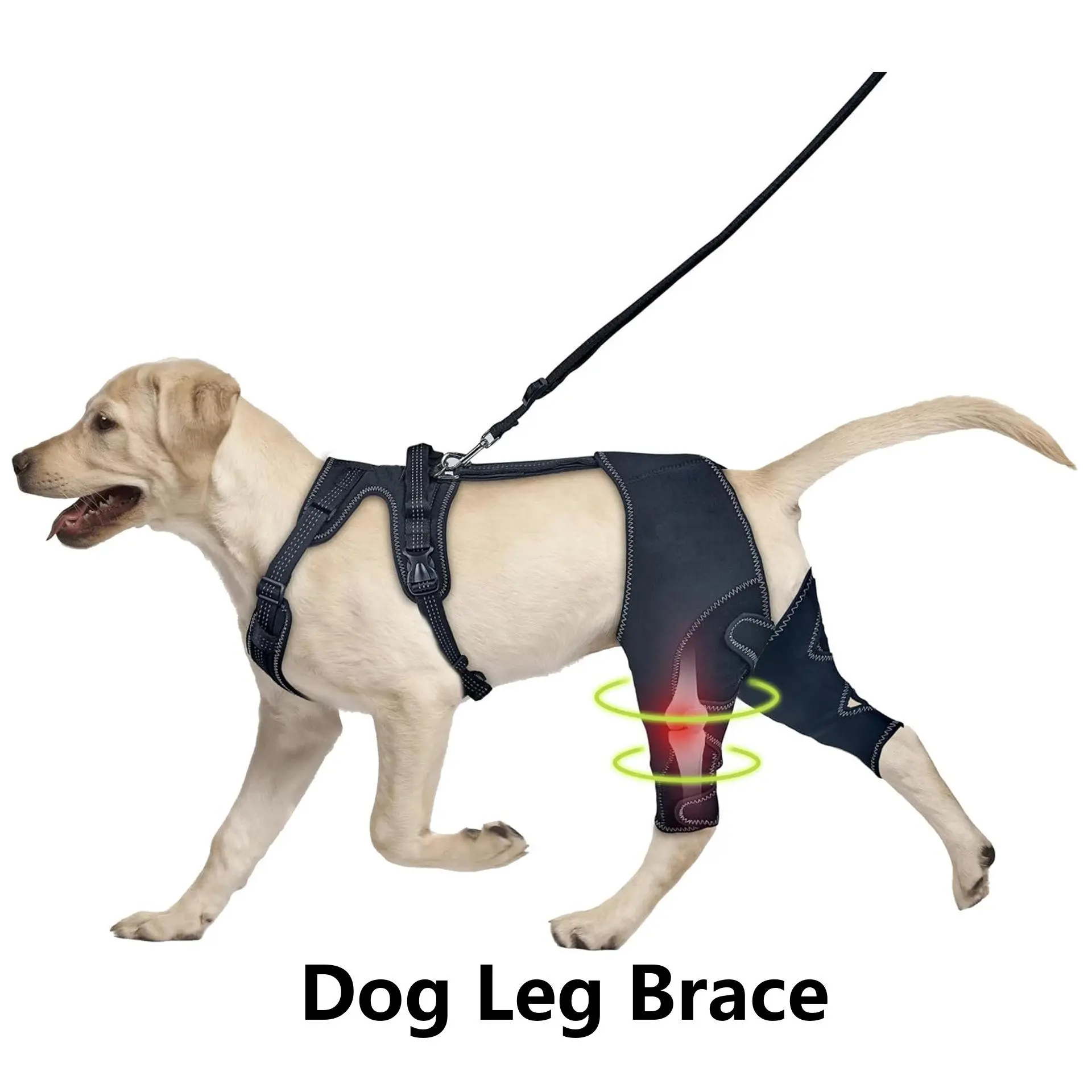 Dog Leg Brace for Post-Surgery Recovery – Knee Support and Joint Protection for Dogs – PetCare