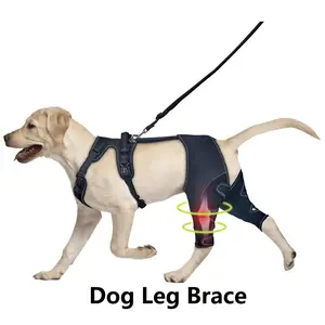 Dog Leg Brace for Post-Surgery Recovery – Knee Support and Joint Protection for Dogs – PetCare