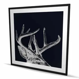212 MAIN Scandinavian-Style Framed Print Wall Art - 48x48 in. Matted Blue Roe Deer Plume Nature Landscape Artwork, Artistic Room Decoration Ideal for Home Decor Gifts & Wall Displays