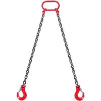 5/16" x 5' with 2 Legs - 6600 lbs/3T