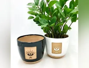 Medium Eye. Handmade, Wonky Ceramic Plant Pot/Planter