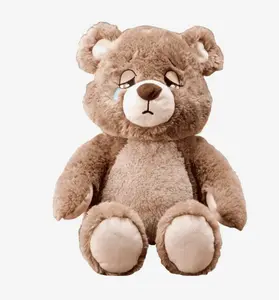 Emotional Support Plush | Sad to Happy Memory Bear | Grief Gift | Hard Days | Thinking of You | Loss of family | Loss of Friend