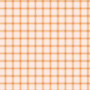 Fabric Riley Blake Pink Gingham Southern Charm by the Quarter Yard C17444-PINK