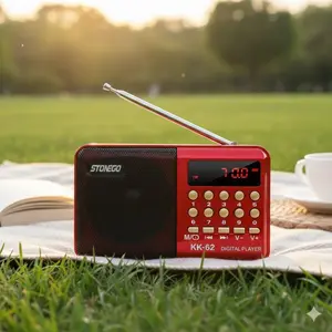 Portable Bluetooth FM Radio MP3 Player with USB/TF Playback, Rechargeable Hi-Fi Sound for Outdoor Travel, Pocket-Sized Music Speaker, Handheld Radio