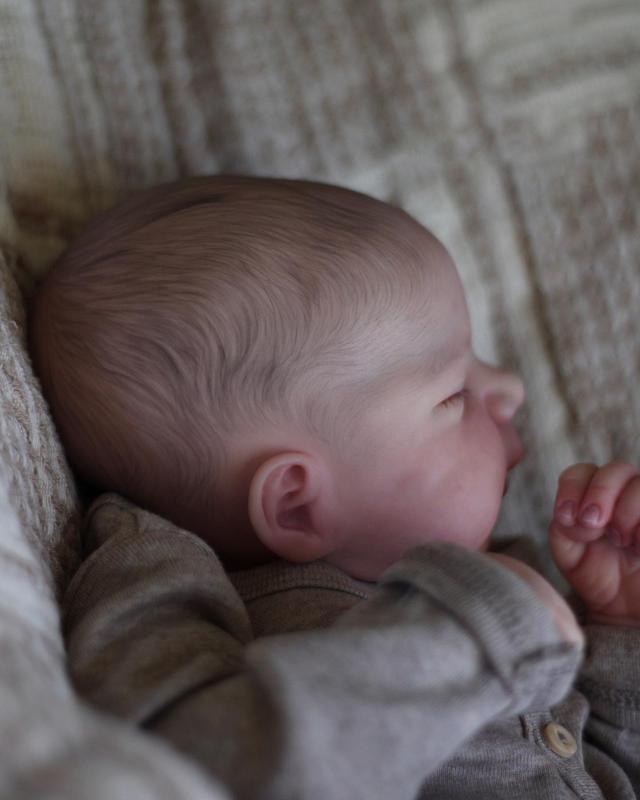 Lifelike Reborn Baby Dolls Boy Pascale- 18 Inches Real Anatomically Correct Baby Doll Poseable Full Body Vinyl That Look Real Soft Babies