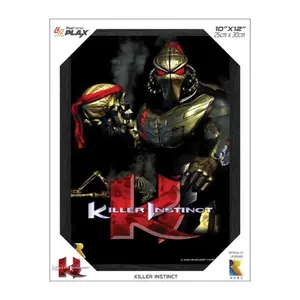 Killer Instinct Framed Lenticular Poster - 10"x12"