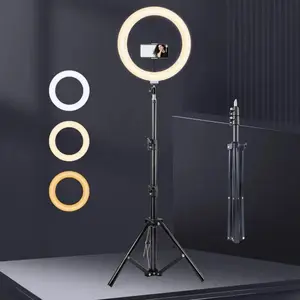 10 Inch Ring Light with Adjustable Tripod, USB Powered Selfie Ring Light with Remote Control, Selfie Ring Light for Photography, Makeup, Live Broadcast, LED Selfie Accessories, Photographic Kit, Selfie Light Stand