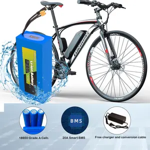 48V Lithium Ebike Battery 13Ah 100-1000W Motor, with 3A Charger and BMS for Electric Bicycle,Motor