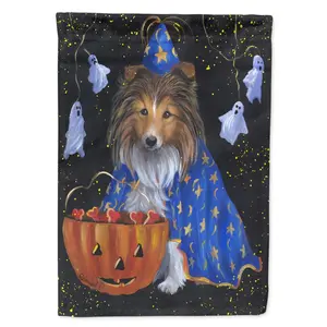 212 MAIN Sheltie Halloween Witch Garden Flag, 11x0.01x15 in Double-Sided Fade Resistant Durable Outdoor Decor, Garden Supplies Accessory