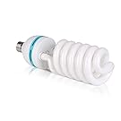 Photography Lighting, 6.5ft x 10ft Backdrop Stand and Umbrellas Continuous Lighting Kit for Photo Studio Product, Portrait and Video Shoot Photography