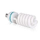 Photography Lighting, 6.5ft x 10ft Backdrop Stand and Umbrellas Continuous Lighting Kit for Photo Studio Product, Portrait and Video Shoot Photography