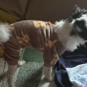 Cute Cartoon Dog Pajamas for Small Pets, Comfortable Winter for Dogs & Cats, Ideal Holiday Onesie, Stylish Pet Sleepwear