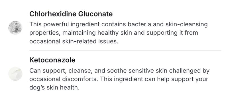 Targeted Skin & Coat Mousse for Dogs - PetLab Co.