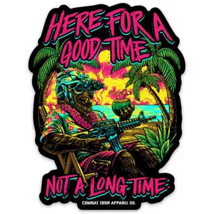 Here For A Good Time, Not A Long Time Decal Funny Stickers