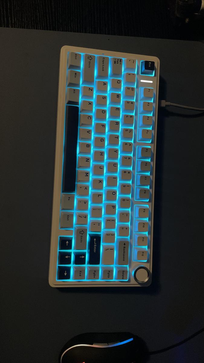 Item: F75 Blue&white