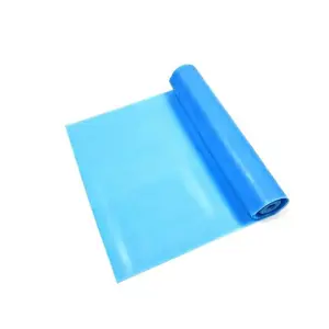 Resistance Bands for Exercise – Long Elastic Stretch Bands for Physical Therapy, Yoga, Pilates & Fitness – Durable Resistance Bands for Strength Training, Full Body Workouts & Home Gym | Small, Blue